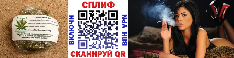 кракен вход  Грязи  Печенье с ТГК марихуана 