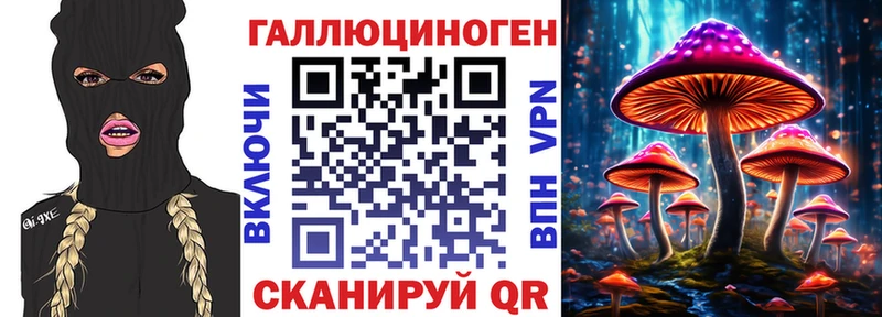 KRAKEN Грязи Галлюциногенные грибы Psilocybine cubensis купить цена